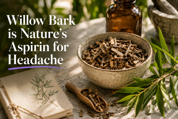 Willow Bark is Nature's Aspirin for Headache