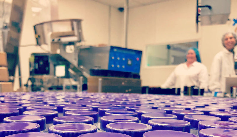 Factory setting with rows of purple containers and people in lab coats.