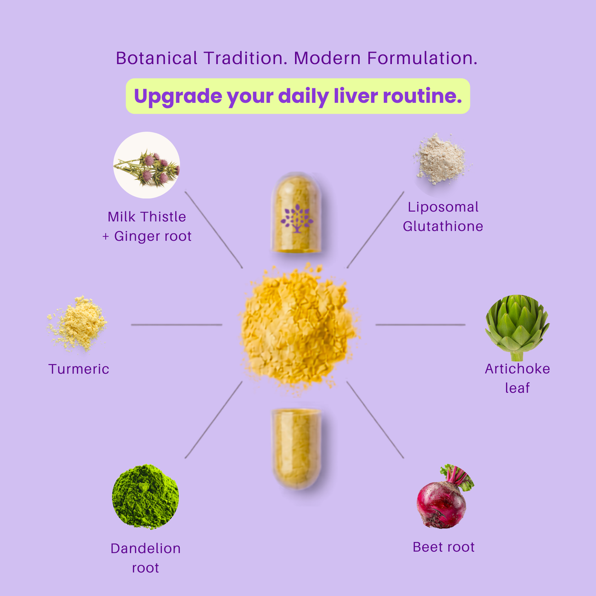 A purple promotional graphic showing a central yellow powder pile with two capsules above and below it, surrounded by ingredient callouts: Milk Thistle + Ginger root, Liposomal Glutathione, Artichoke leaf, Beet root, Dandelion root, and Turmeric. Text at the top reads 'Botanical Tradition.