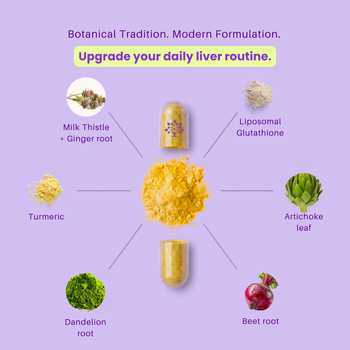 A purple promotional graphic showing a central yellow powder pile with two capsules above and below it, surrounded by ingredient callouts: Milk Thistle + Ginger root, Liposomal Glutathione, Artichoke leaf, Beet root, Dandelion root, and Turmeric. Text at the top reads 'Botanical Tradition.