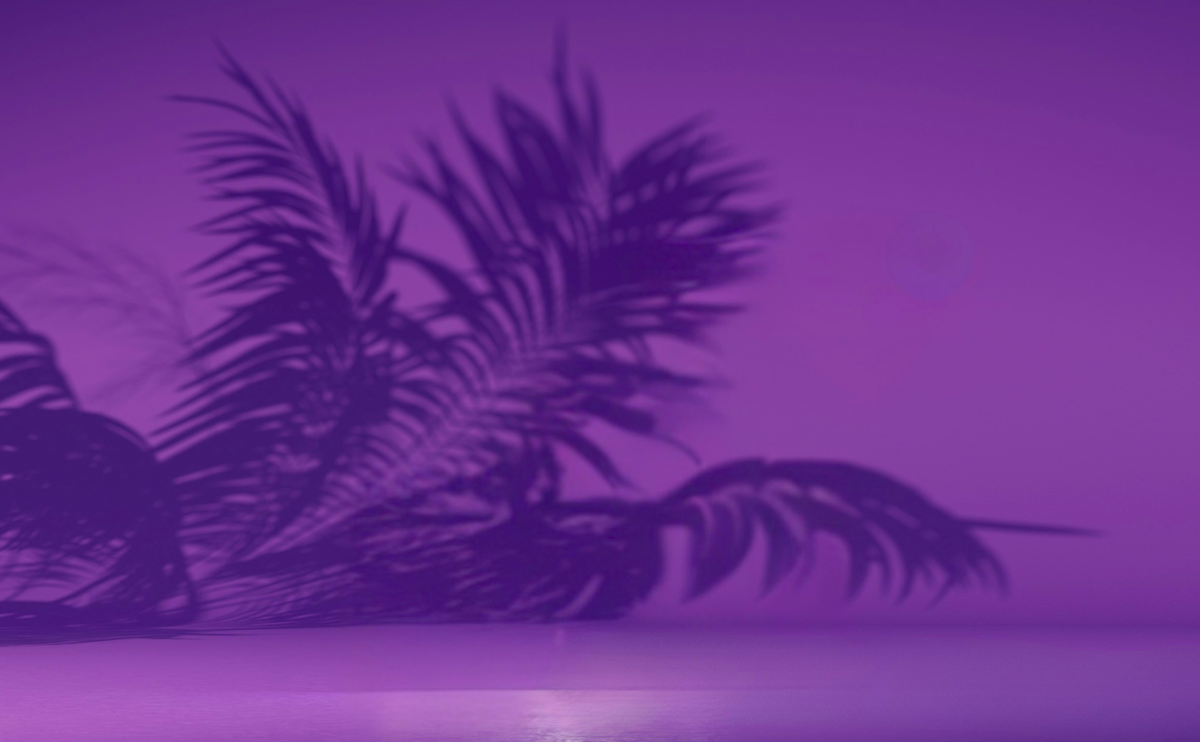 Shadow of palm leaves on a purple background