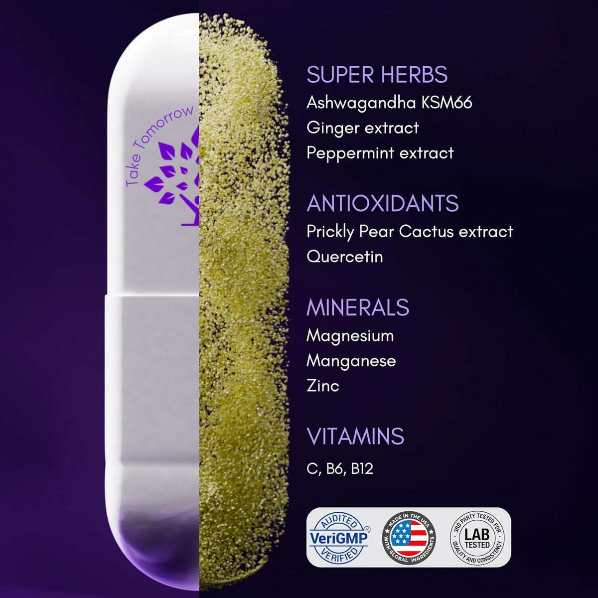 Next Day Wellness Pills