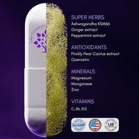 Next Day Wellness Pills