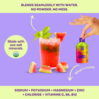 Electrolyte Hydration Packets, Variety Flavors