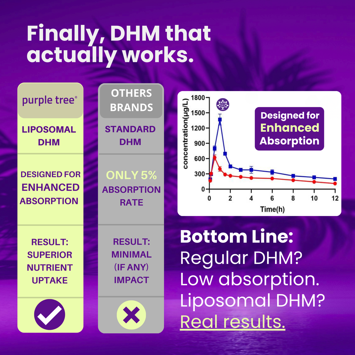 Post-Celebration Wellness Supplement