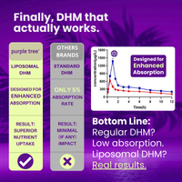 Post-Celebration Wellness Supplement